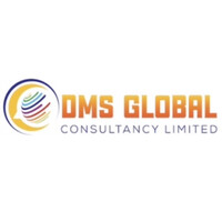 DMS Global Consultancy Limited logo - Similar company to Bright Solution Computer