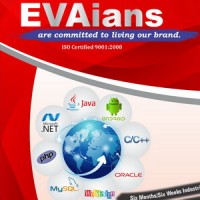 EVA Solutions Pvt. Ltd. logo - Similar company to Tesarrow Infocom Systems