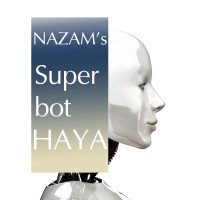 NAZAM-Just like new logo - Similar company to Plumber Dubai