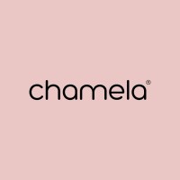 Chamela S.A.S logo - Similar company to St. Even