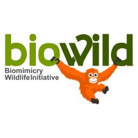 Biomimicry Wildlife Initiative (biowild) logo - Similar company to Ibi2 Institute For Sustainable Transitions & Biomimicry Innovations