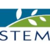 Stem Consulting & Marketing Inc.