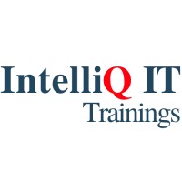 IntelliQ IT logo - Similar company to Kendriya Vidyalaya