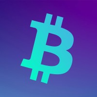 The Bitcoin Investor logo - Similar company to Bitcoin Man ®