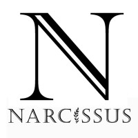 Narcissus logo - Similar company to Mpg Live D.O.O.