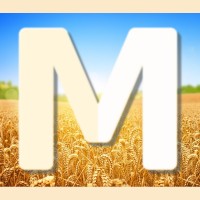 MAKHT-TRADE Private Enterprise logo - Similar company to Soliani S.A.S.