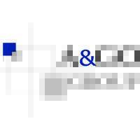 A&GO Group logo - Similar company to T&S Consulting
