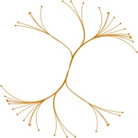 Divergent Health logo - Similar company to Foundation First Speech Pathology