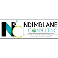 NDIMBLANE-CONSULTING logo - Similar company to Stop Au Chômage