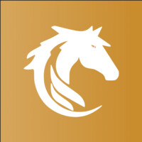 FreeSpirit logo - Similar company to Segue Systems Inc.
