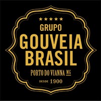 Grupo Gouveia Brasil logo - Similar company to Datacockpit