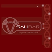 Claims of America Public Adjusting LLC