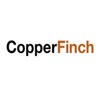 CopperFinch LLC logo - Similar company to Borderless Technology Solutions
