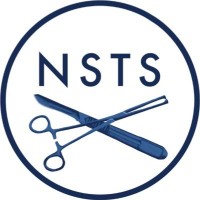 National Surgical Teaching Society logo - Similar company to Oneway Logistics