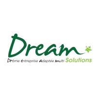 Dream Solutions logo - Similar company to Dream Solution
