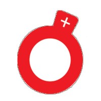 VISION PLUS OPTICALS logo - Similar company to Visiongift