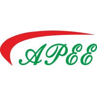 APEE INFRATECH (INDIA) PRIVATE LIMITED logo - Similar company to Ap Electrical Solution