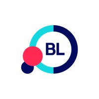 BEX Lab logo - Similar company to Pro Marketer Agency