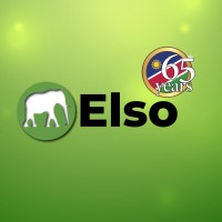 Elso Holdings logo - Similar company to Allinio