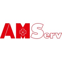 AMServ Gruppe logo - Similar company to Amxerv Business & Technological Consulting