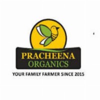 Pracheena Organics logo - Similar company to Indext-A