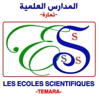Les Ecoles Scientifiques-Témara logo - Similar company to Sunshine'S Institute For Professionals