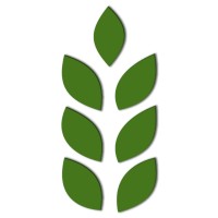 PT Meraki Lestari Indonesia logo - Similar company to Zeppelin