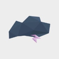 BlackStorm Developers logo - Similar company to Quazart