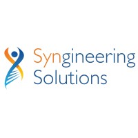 Syngineering Solutions logo - Similar company to Detect-It Ai Software