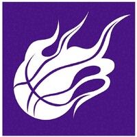Violet Perseverance Basketball Club logo - Similar company to Veritas China