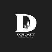 Dopluxcity Real Estate Ltd logo - Similar company to Sochem Industries