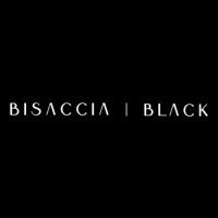 Bisaccia | Black logo - Similar company to Xander Medical