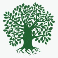 ROOTEL logo - Similar company to Bluelap Services