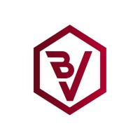 Blockchain Valley logo - Similar company to Datagrit Corp.