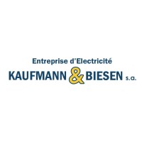 Kaufmann & Biesen s.a. logo - Similar company to Poligonix
