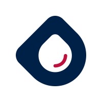 Dew Software logo - Similar company to Techmetro Llc