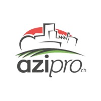 AZIpro logo - Similar company to Holding Personnelle