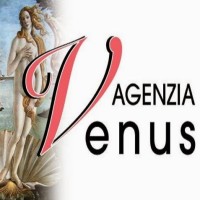 Agenzia Venus logo - Similar company to Meta Experiences
