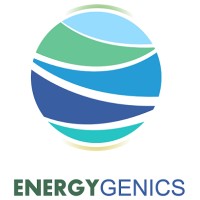 EnergyGenics logo - Similar company to Vertogen Ltd