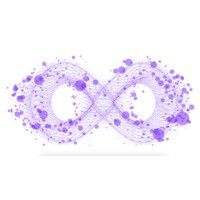 Numeri Capital logo - Similar company to Finexify