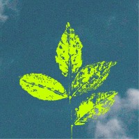 POMAR logo - Similar company to Lidere Com D