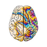 Mindfood