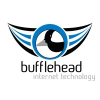 Bufflehead Internet Technology logo - Similar company to Implex