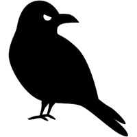 Ravens for Transparency logo - Similar company to Cs4All
