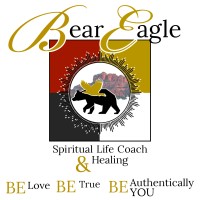 Bear Eagle International logo - Similar company to We Build Design