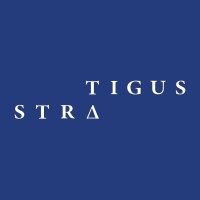 Stratigus logo - Similar company to Rmathis Technical Solutions