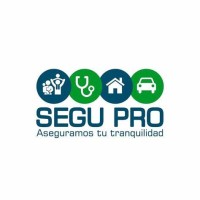 Segu Pro Agente de Seguros y Fianzas S.A de C.V logo - Similar company to Planem