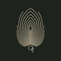 Paradise Feathers logo - Similar company to Storied