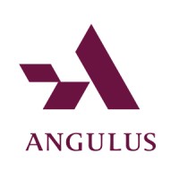 Angulus Group Holdings logo - Similar company to Truss Point Partners