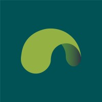 Report Consulting Services
